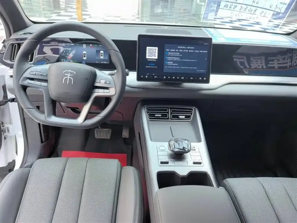 BYD Pro New Energy 2025 из CN, фото 7