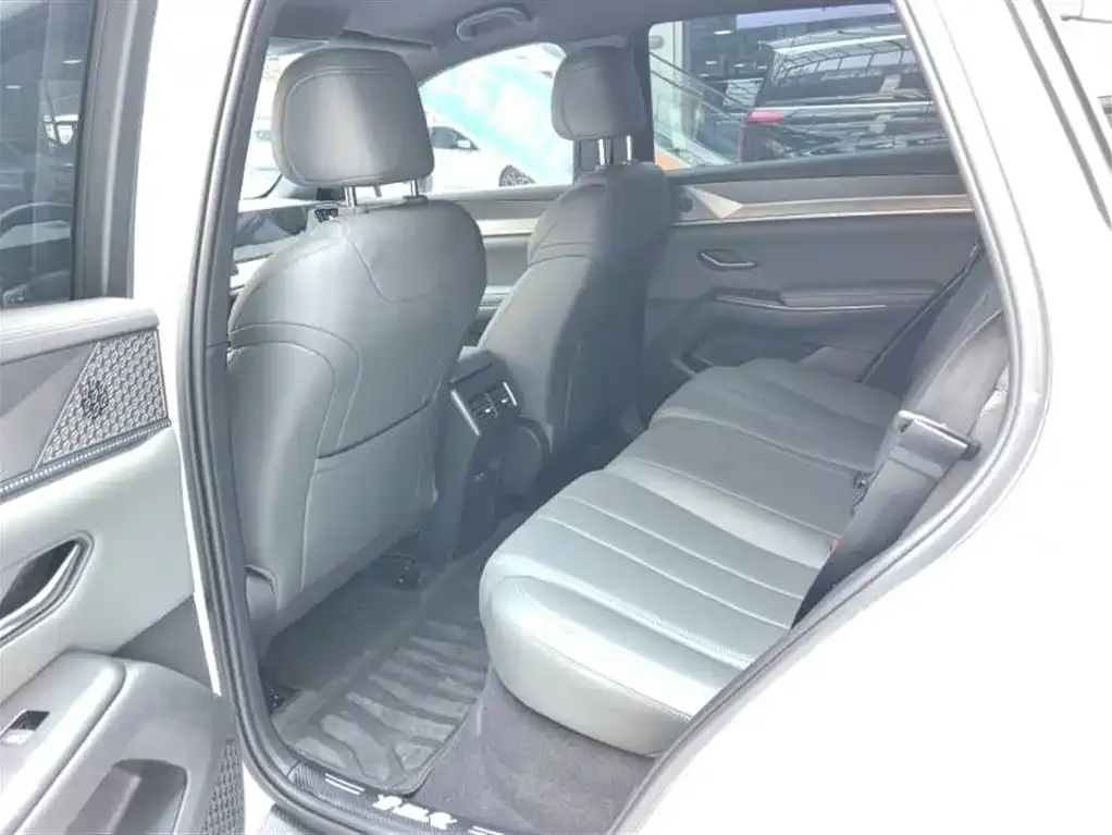 BYD Pro New Energy 2025 из CN, фото 3
