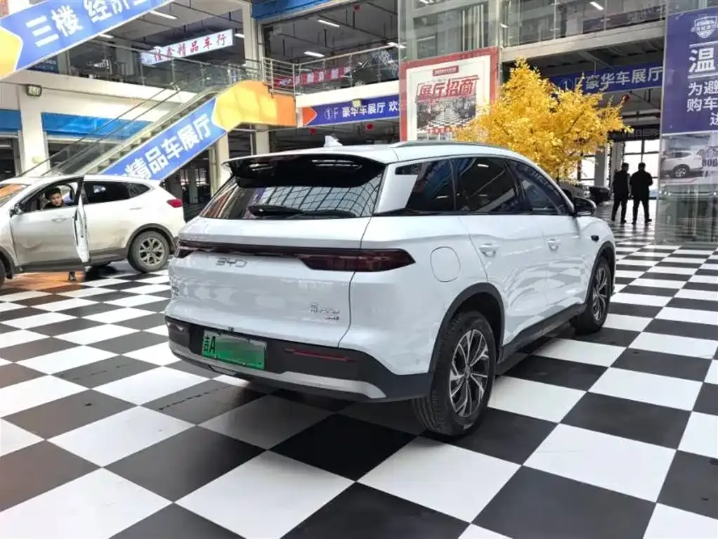 BYD Pro New Energy 2025 из CN, фото 9
