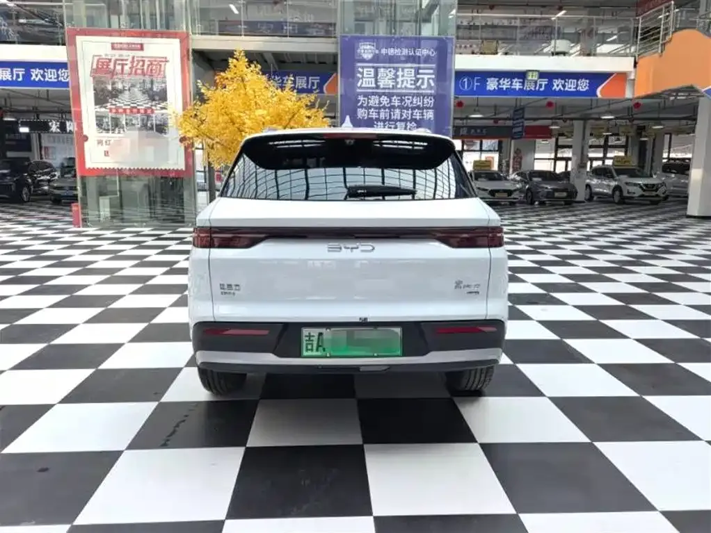 BYD Pro New Energy 2025 из CN, фото 4