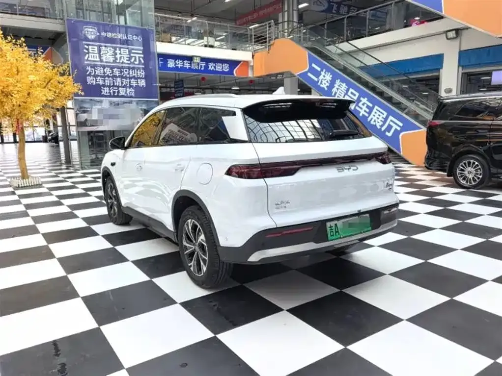 BYD Pro New Energy 2025 из CN, фото 8