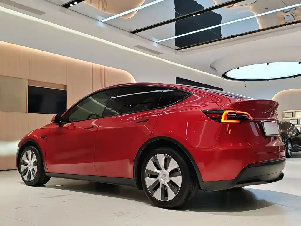 Tesla Model Y — фото 4