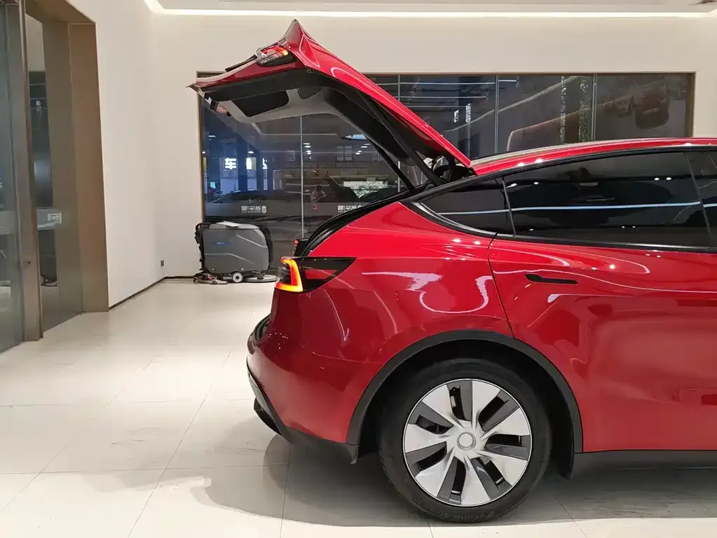 Tesla Model Y — фото 10