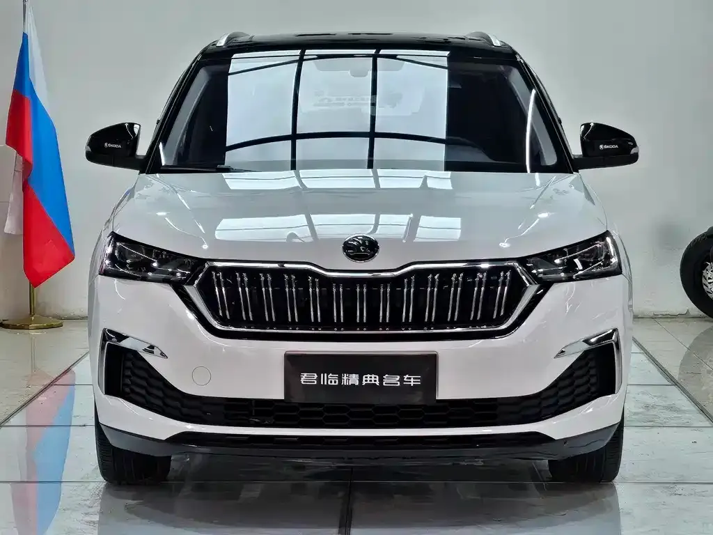 Skoda Kamiq — фото 4