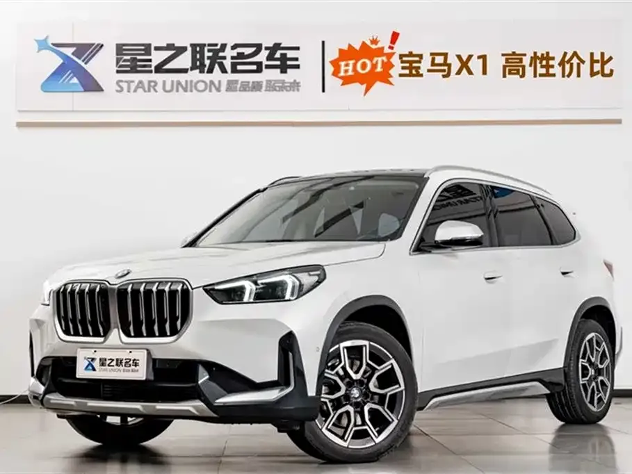 BMW X1 — фото 1