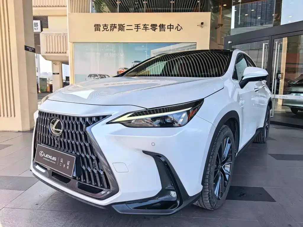 Lexus NX 2022 из CN, фото 1