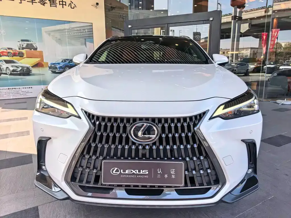 Lexus NX 2022 из CN, фото 8