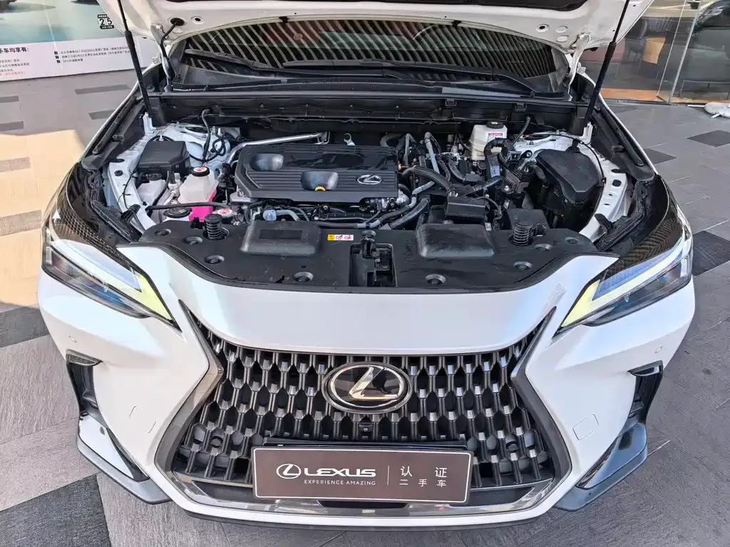 Lexus NX 2022 из CN, фото 10