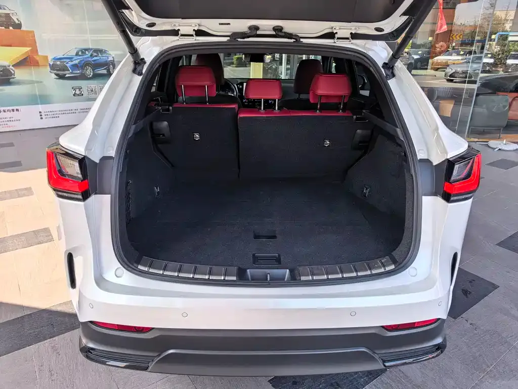 Lexus NX 2022 из CN, фото 9