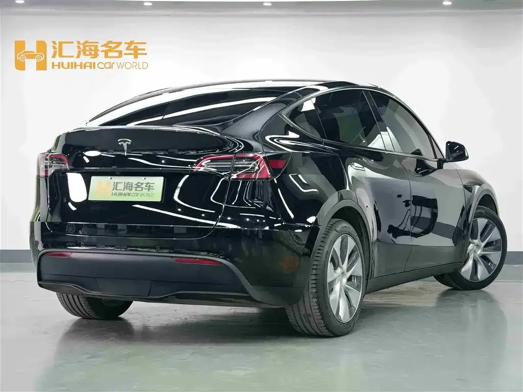 Tesla Model Y — фото 10