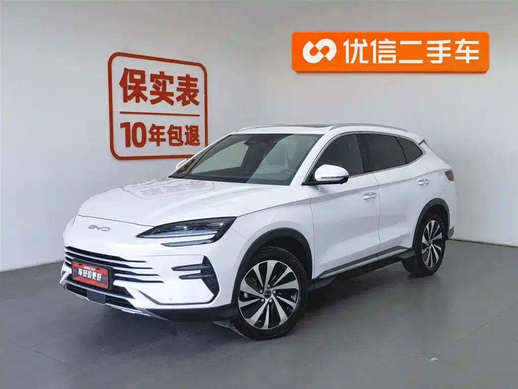 BYD PLUS New Energy — фото 1