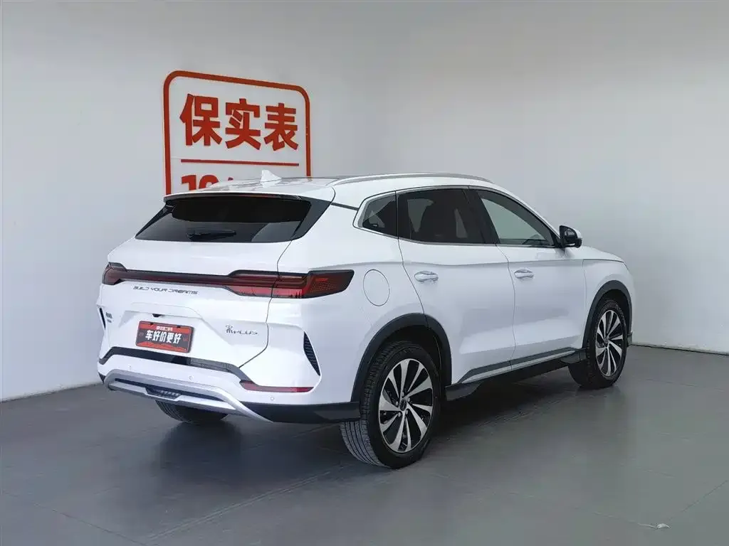 BYD PLUS New Energy — фото 2