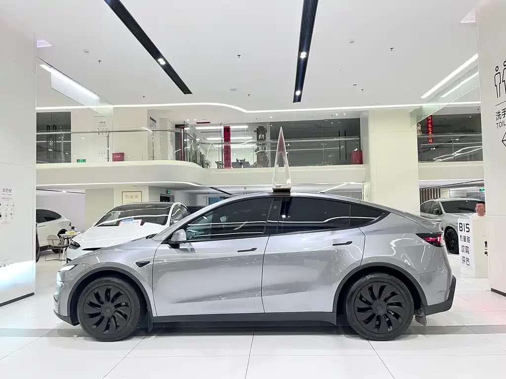 Tesla Model Y 2025 из CN, фото 10