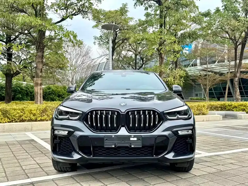 BMW X6 2021 из CN, фото 9