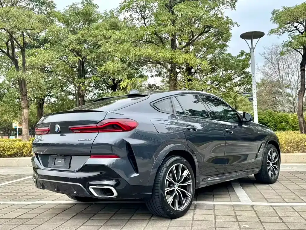 BMW X6 2021 из CN, фото 6