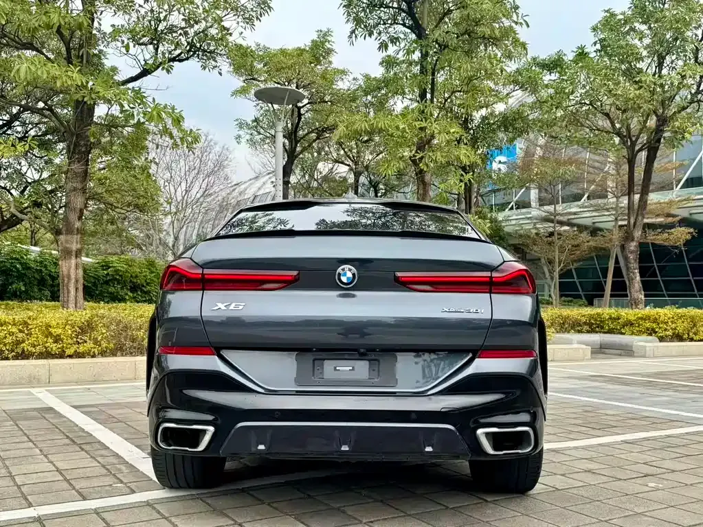 BMW X6 2021 из CN, фото 8