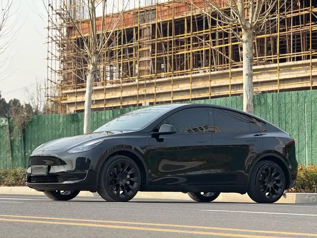 Tesla Model Y — фото 1