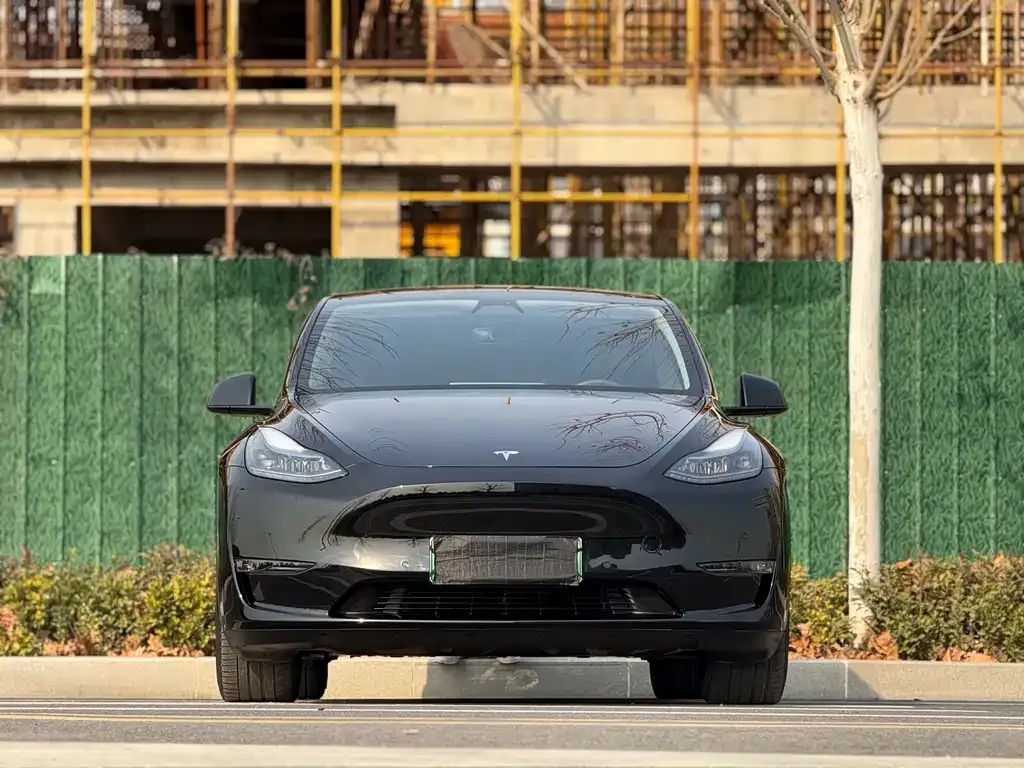 Tesla Model Y — фото 8