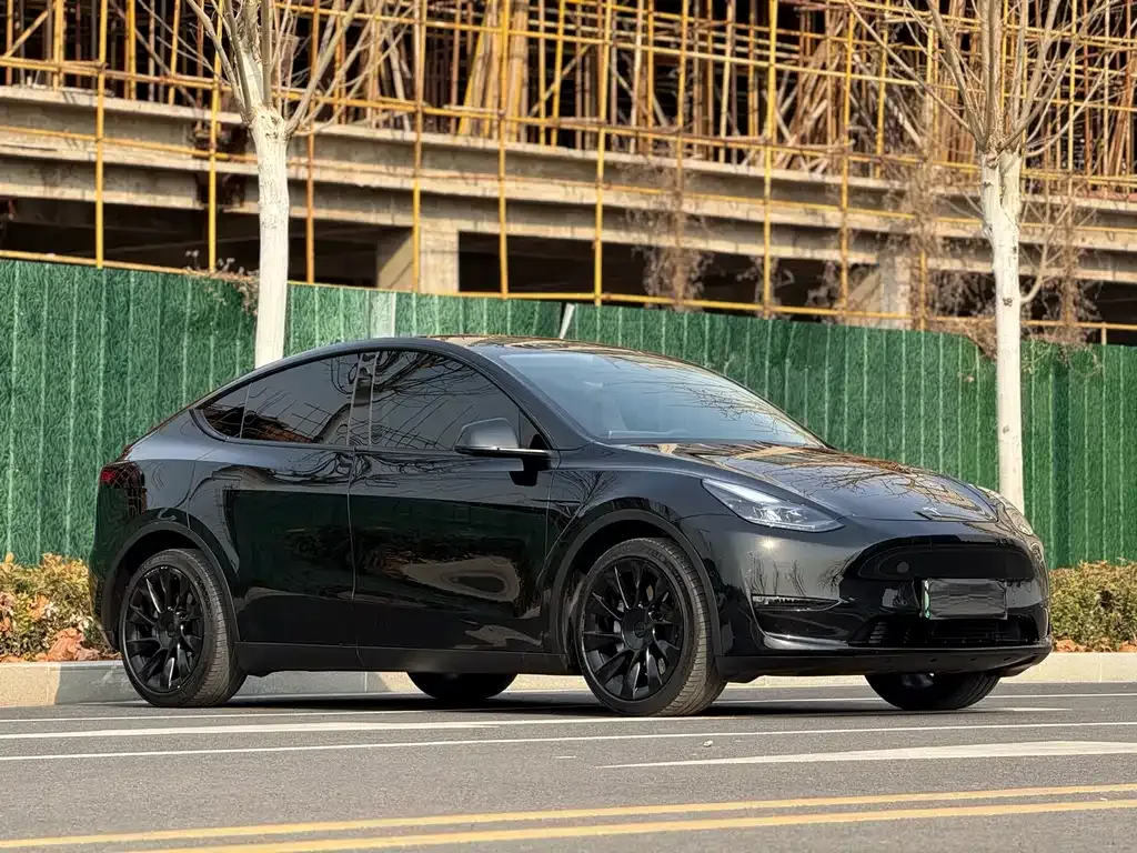 Tesla Model Y — фото 6