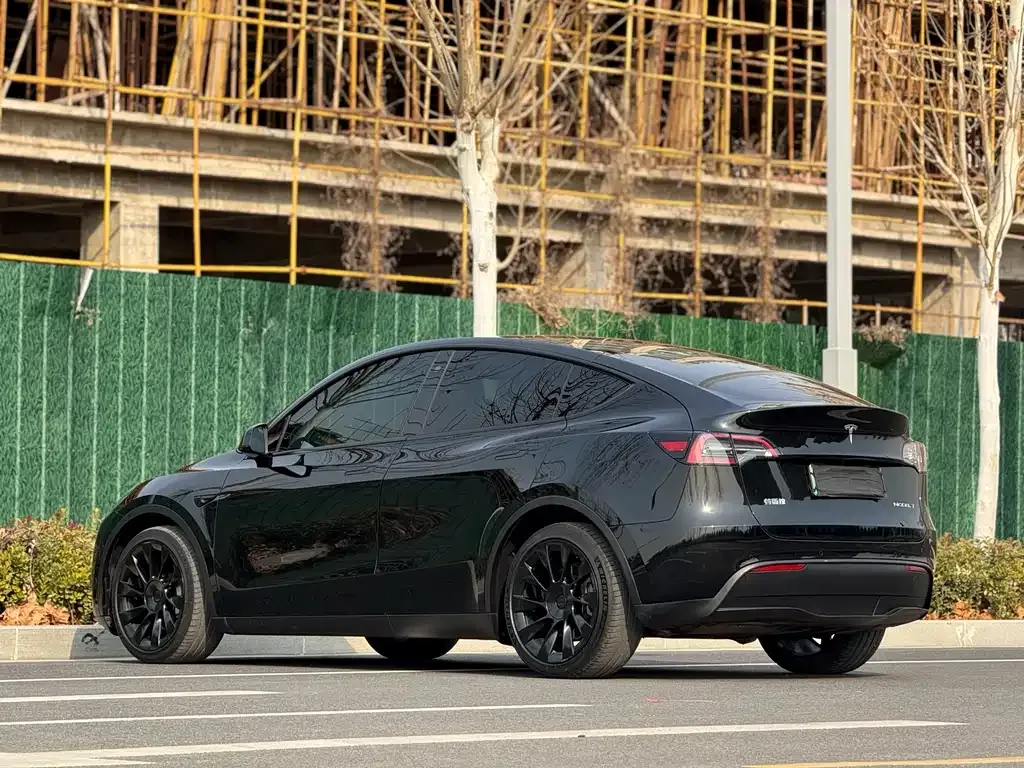 Tesla Model Y — фото 3