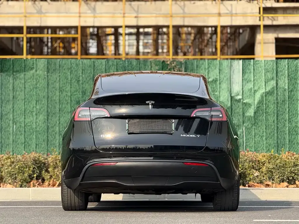 Tesla Model Y — фото 2