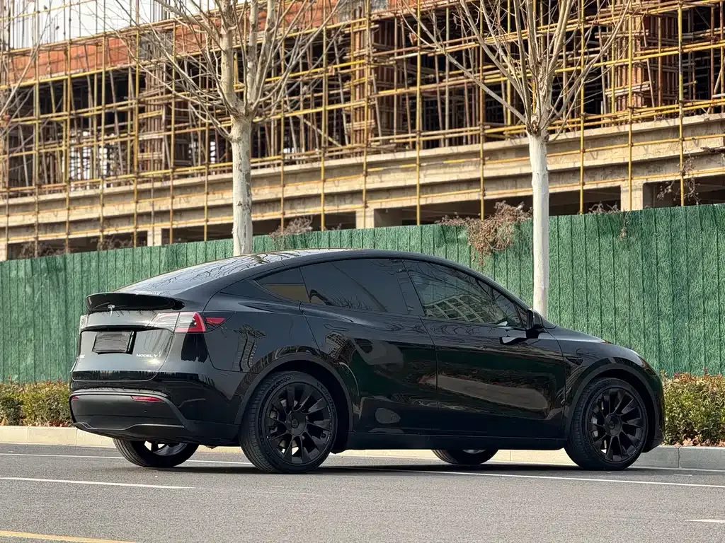 Tesla Model Y — фото 4
