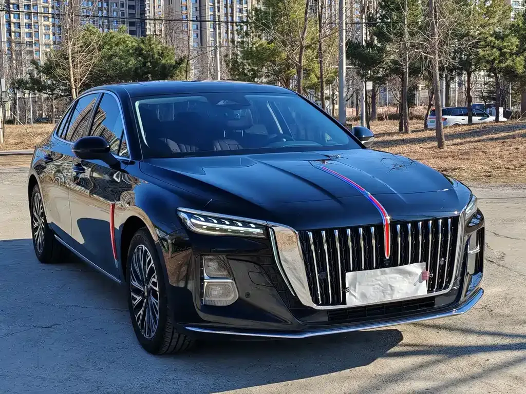 Hongqi H5 2025 из CN, фото 4