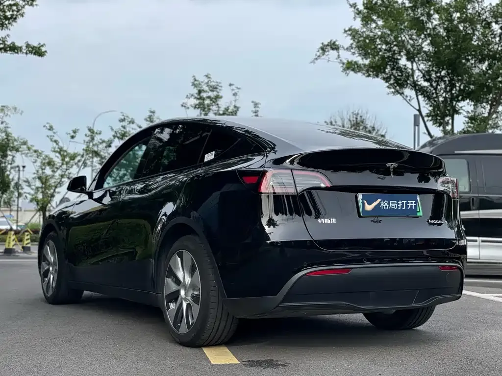 Tesla Model Y — фото 8