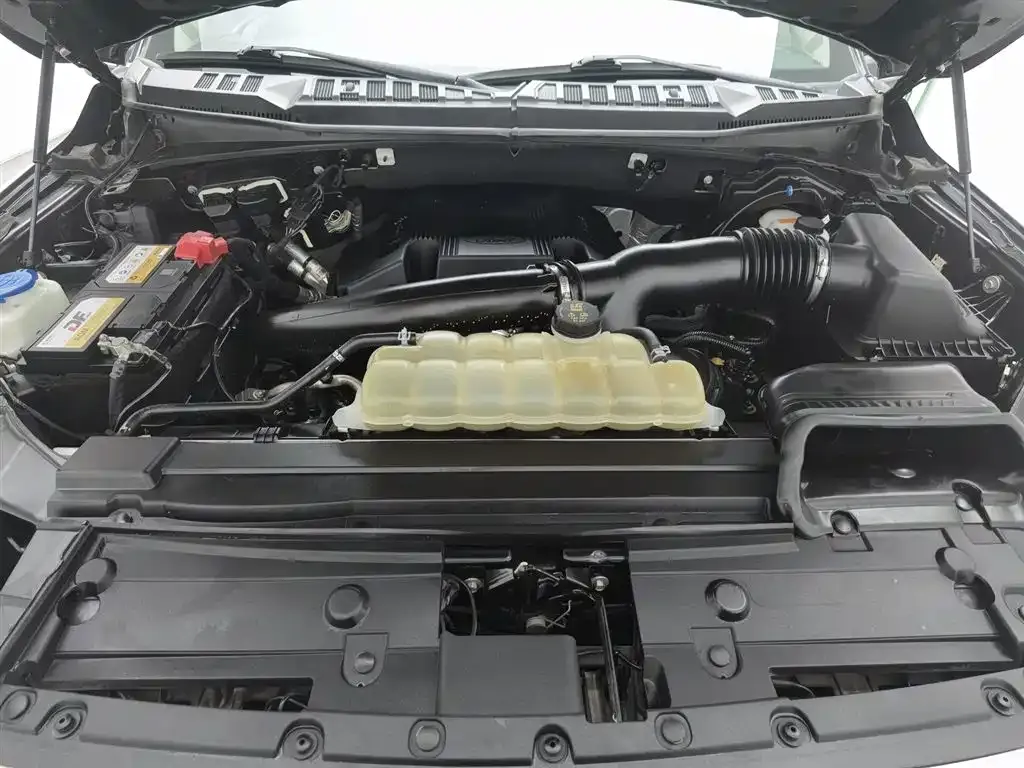 Ford F-150 Raptor 2021 из CN, фото 5