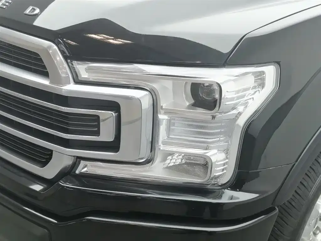 Ford F-150 Raptor 2021 из CN, фото 10