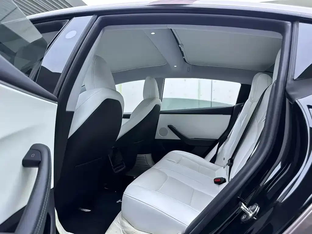 Tesla Model 3 2023 из CN, фото 8