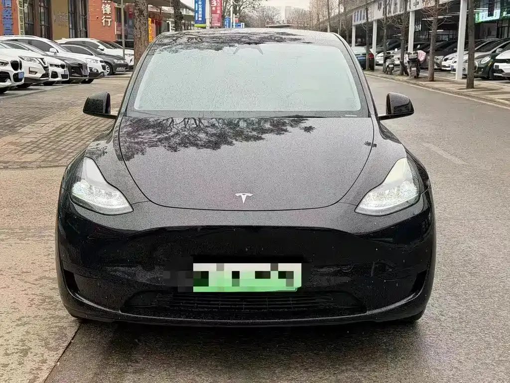 Tesla Model Y — фото 3