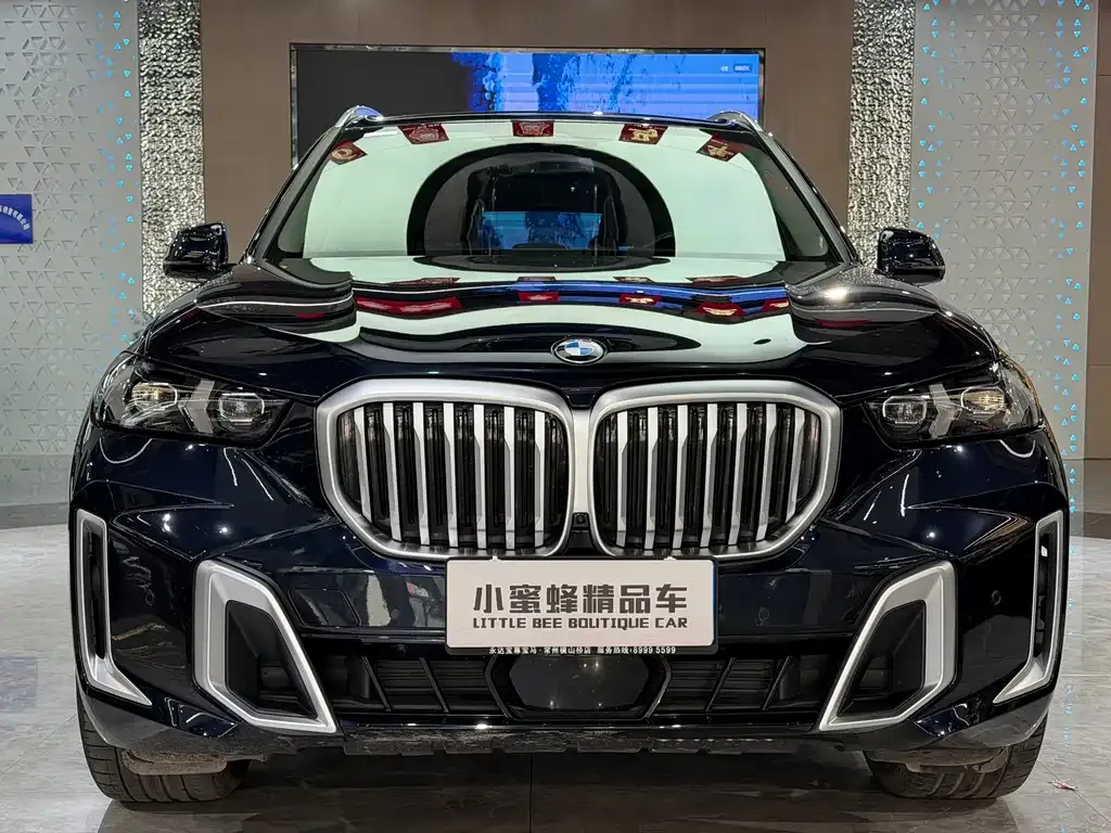BMW X5 — фото 9