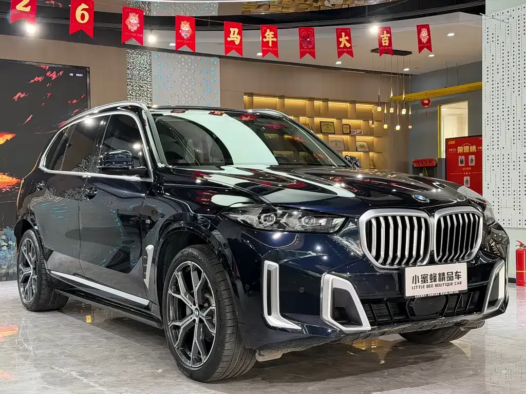BMW X5 — фото 10