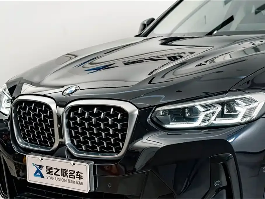 BMW X4 2022 из CN, фото 10