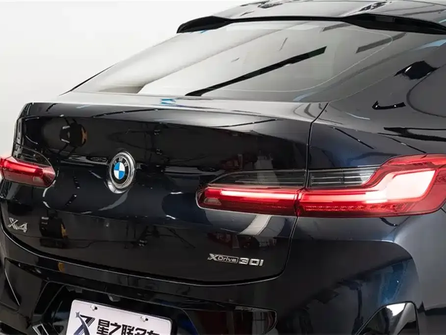 BMW X4 2022 из CN, фото 7