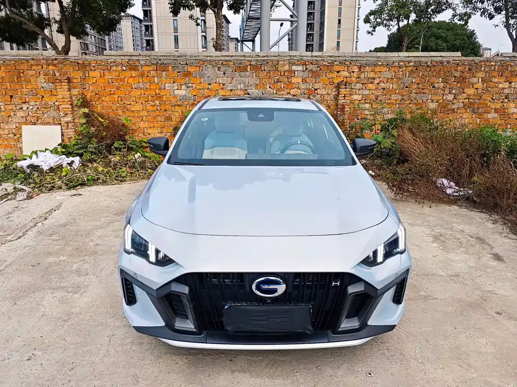GAC Motor Shadow Leopard 2022 из CN, фото 1
