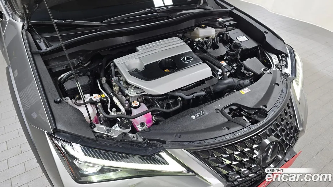 Lexus UX 2023 из KR, фото 6