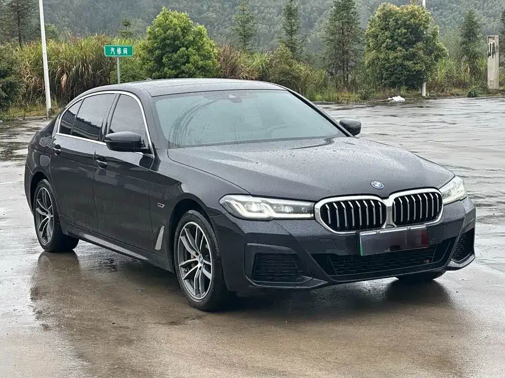 BMW 5 Series New Energy — фото 7