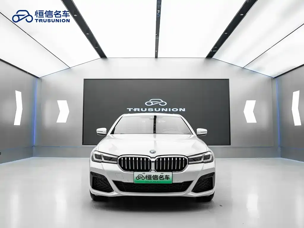 BMW 5 Series New Energy — фото 4