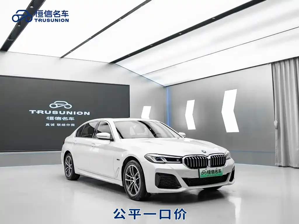 BMW 5 Series New Energy — фото 10