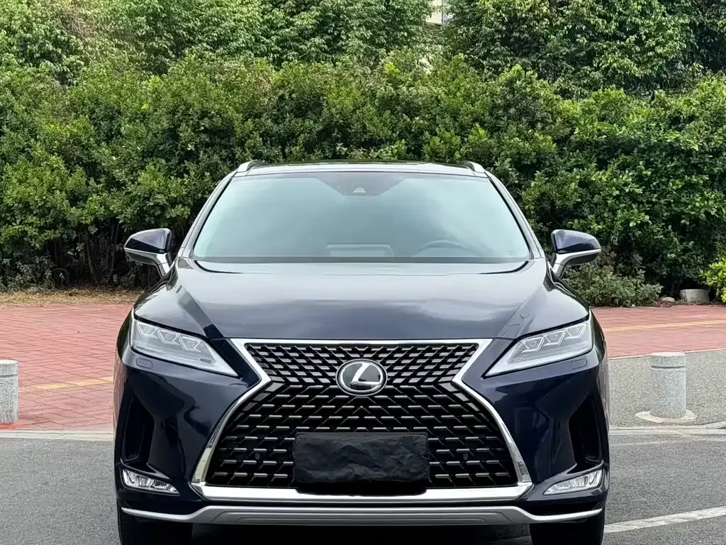 Lexus RX — фото 9