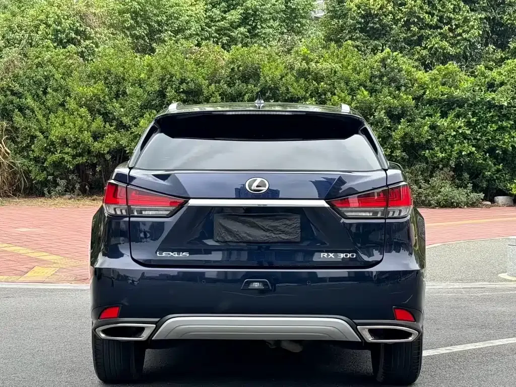 Lexus RX — фото 7