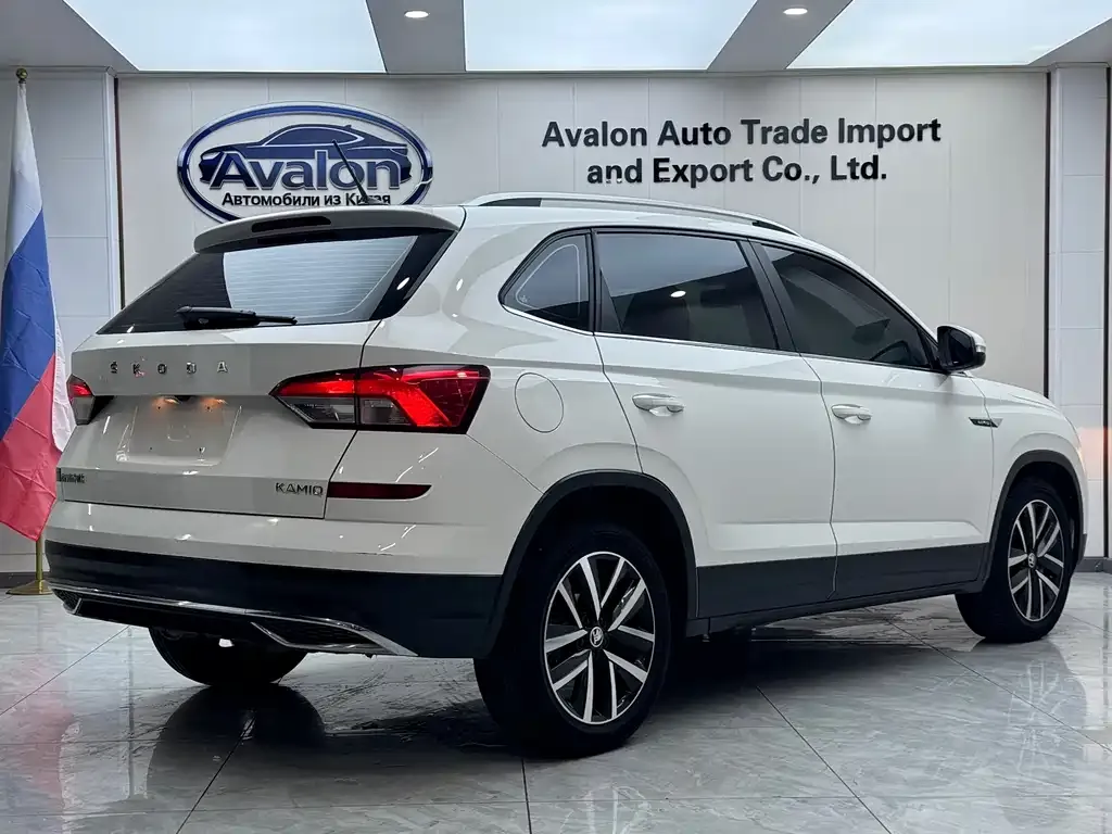 Skoda Kamiq 2022 из CN, фото 9