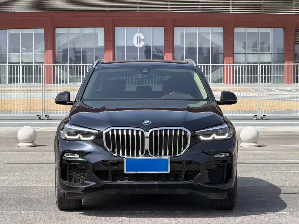 BMW X5 (Import) — фото 6