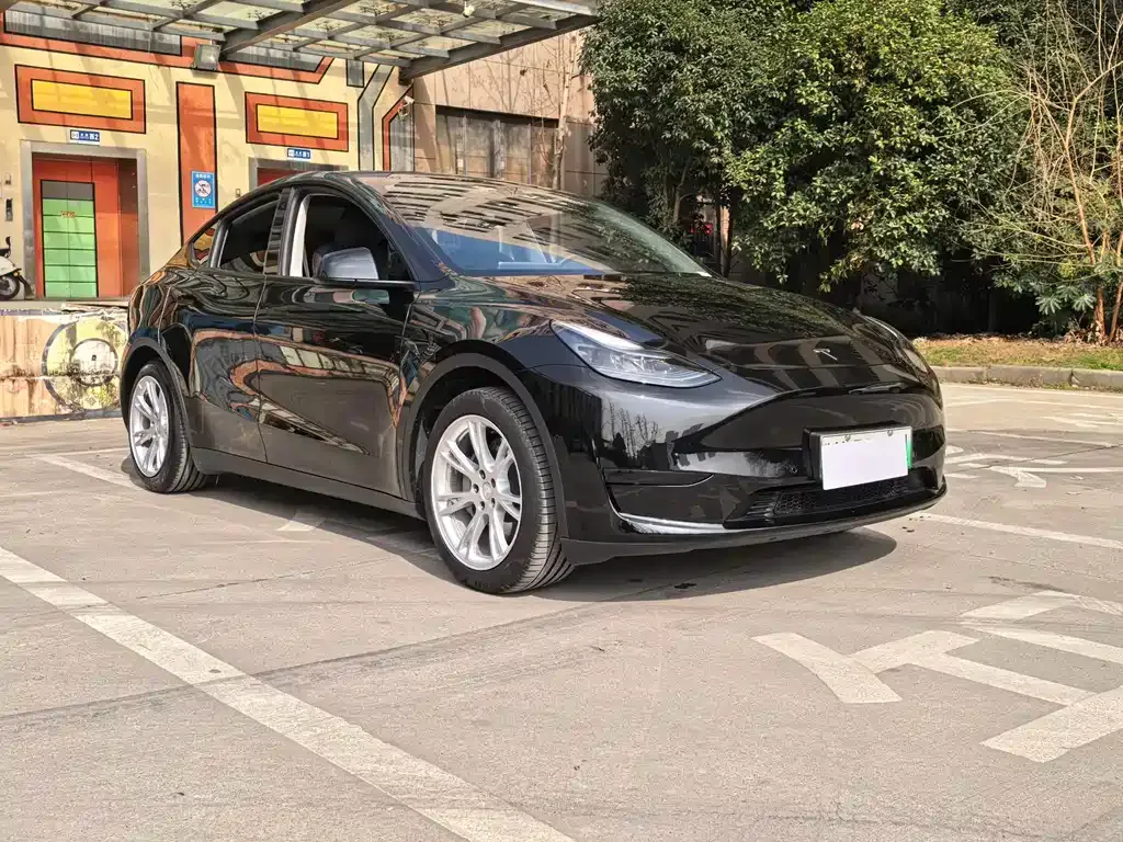 Tesla Model Y — фото 10
