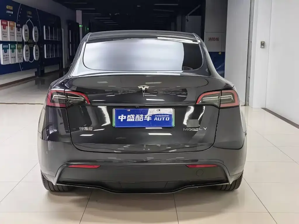 Tesla Model Y — фото 10
