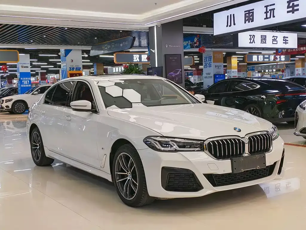 BMW 5 Series 2022 из CN, фото 4