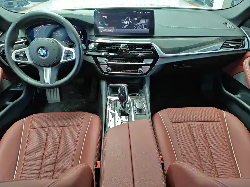 BMW 5 Series 2022 из CN, фото 5