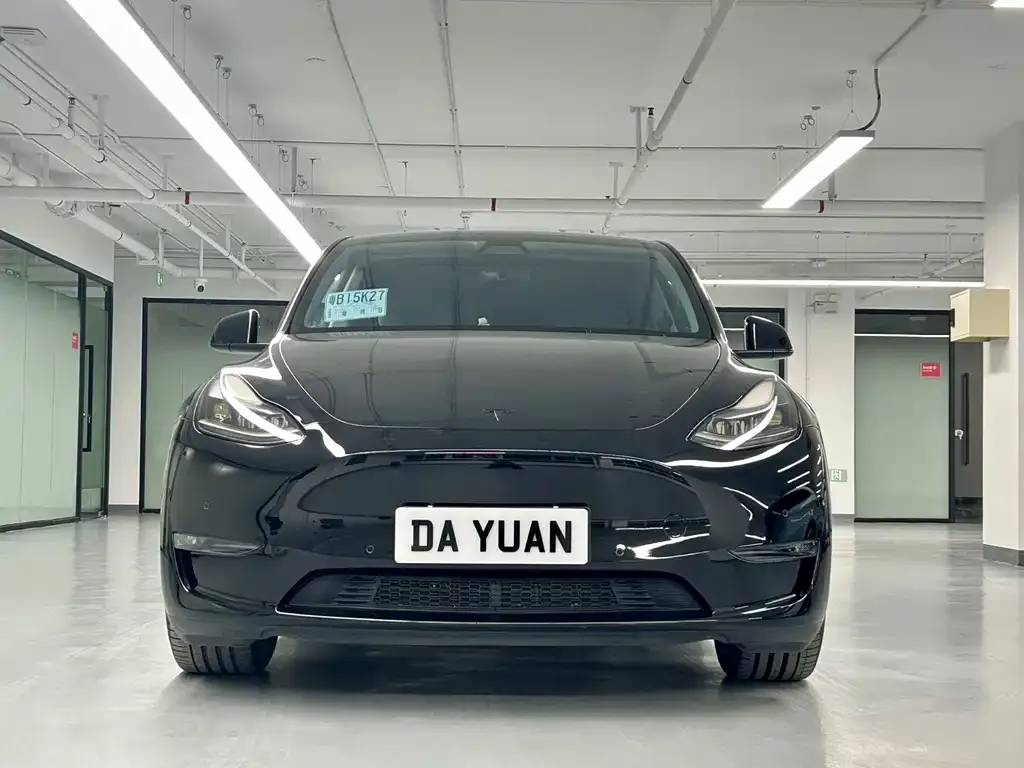 Tesla Model Y — фото 8